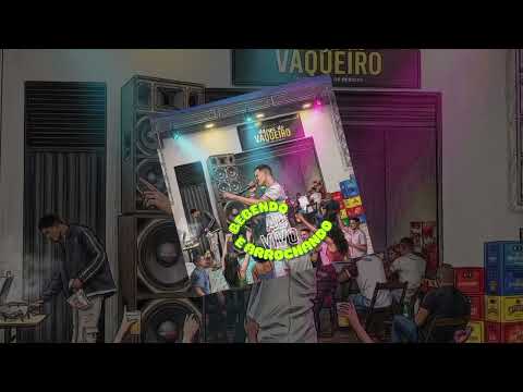 RAFINHA FERRAZ AO VIVO NA ADEGA DO VAQUEIRO [CATUABA DE BONITO BAHIA]