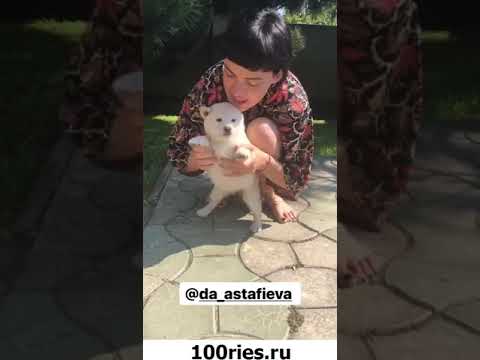 Дурнев Инстаграм Сторис 15 июня 2019