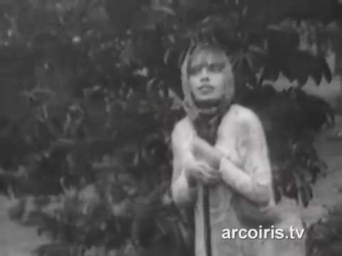 MILAGROS DE LA DIVINA PASTORA