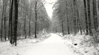 Year Of No Light -  Abbesse