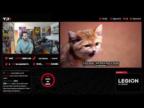 TJI REAGE A BICHOS NO SEU HABITAT: "GATO DO DESERTO"