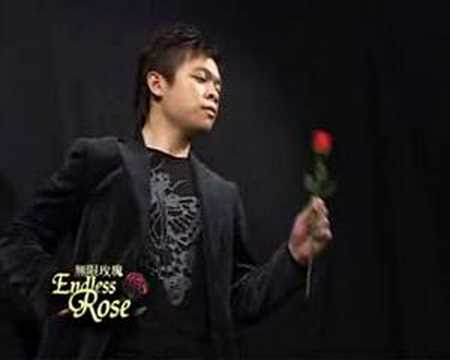 Endless Rose (Props And DVD)