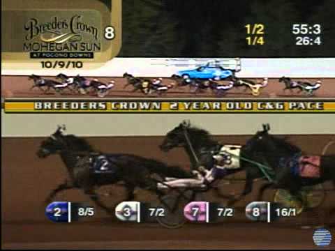 2010 Breeders Crown 2YO Male Pace - theharnessedge.com