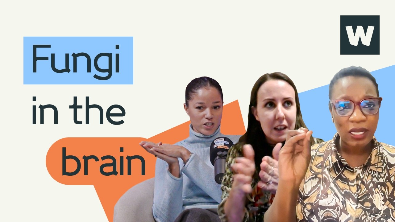 What happens when fungi find their way into our brains? | Wellcome