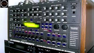 Video thumbnail for QUASIMIDI POLYMORPH Synthesizer Sequencer (1999) factory demo sequences and track by RetroSound