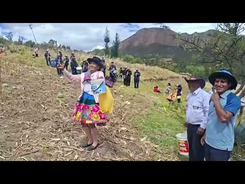 SANTIAGO P5( HERRANZA) FAM: LAURA TITO POMACOCHA-ACOBAMBA-HUANCAVELICA 