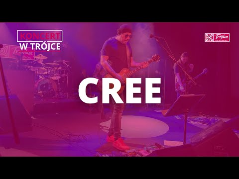 Cree | Koncert w Trójce