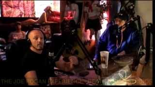 Joe Rogan Experience #222 - Mike Dolce, Joey Diaz