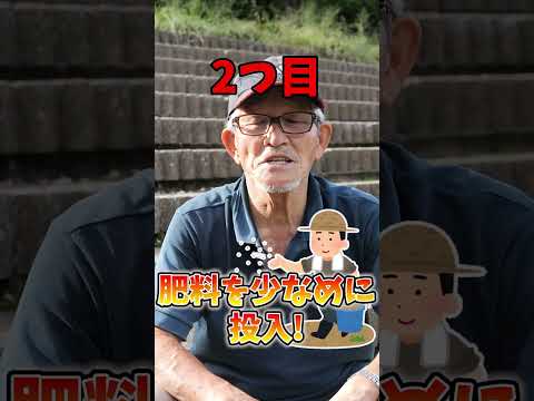 玉ねぎの隣に植える花はどれですか?タマネギのウジ虫を防ぐ植物を発見する  庭園