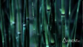 Carbon Based Lifeforms - Gryning