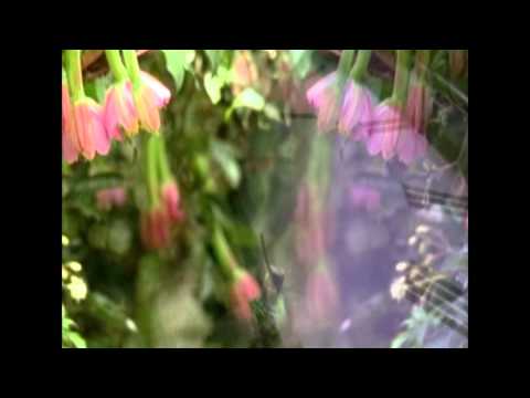 Exclusive Ydrinf & Mxy Feat.Blake - Hanging On 2012