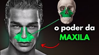 The bone that defines your appearance | Why the MAXILLA is so important