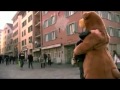 Hug a bear 