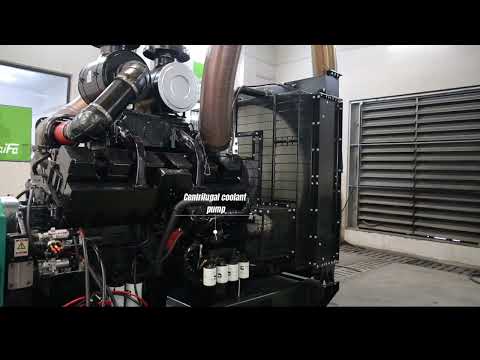 CUMMINS KTA38 SERIES IMMERSIVE 0-110% TEST