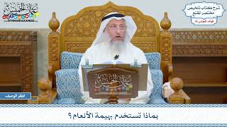 1822 - بماذا تستخدم بهيمة الأنعام؟ - عثمان الخميس