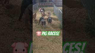 Download lagu These Racing Pigs STOLE the Show! 🐷🏁 | 2026 Tennessee State Fair #Shorts mp3