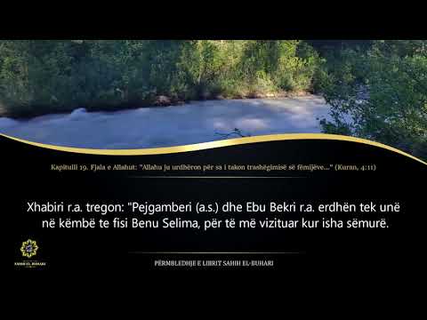 Sahih Buhari - Hadith 1726 - Fjala e Allahut: "Allahu ju urdhëron për sa i takon  trashëgimisë së ..