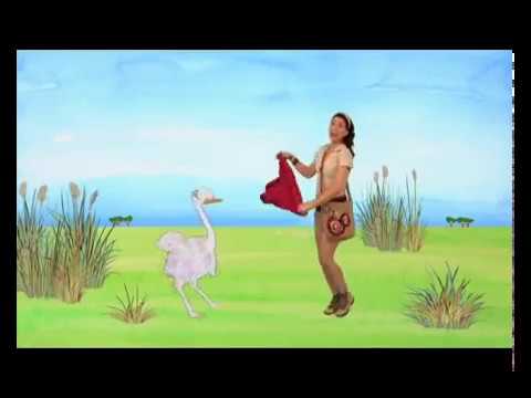 Animapaka: videoclip ñandu