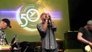 The Watchmen - Stereo Live!