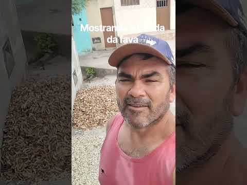 #vidanaroça mostrando a batida da fava lavandeira na Paraíba hashtag Roça