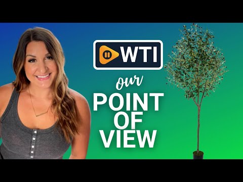Haispring Artificial Olive Trees - WTI product video review