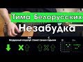 Тима Белорусских - Незабудка (Разбор песни на гитаре: Аккорды и бой)