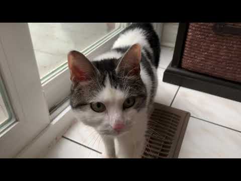 Mimi and her Nemesis!