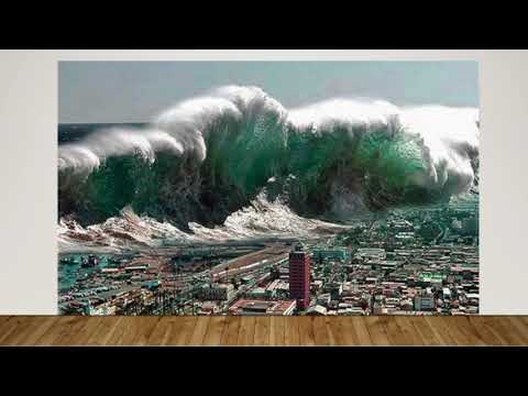 PAD 4391 Project 1 - Joey Oliveira