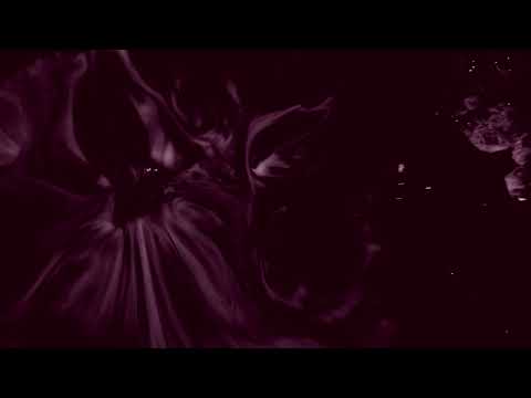 TMM Podcast 014 - Vegim