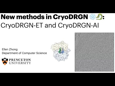 CryoDRGN-AI: Neural ab initio reconstruction of challenging cryo-EM and cryo-ET datasets