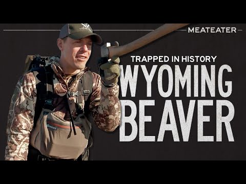 Trapped in History: Wyoming Beaver | S6E11 | MeatEater