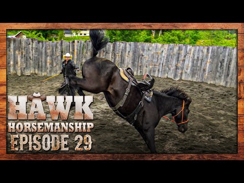 , title : 'Kan vi ri inn en farlig hest? | Episode 29 (Norsk Hestetrening)'