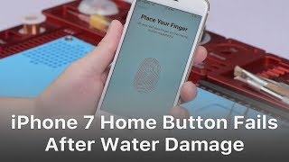 How To Repair iPhone 7 Home Button Not Working After Water Damage