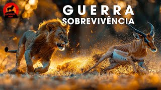SAVANA SELVAGEM | O Mistério dos Guerreiros Mais Rápidos | Documentários  animais