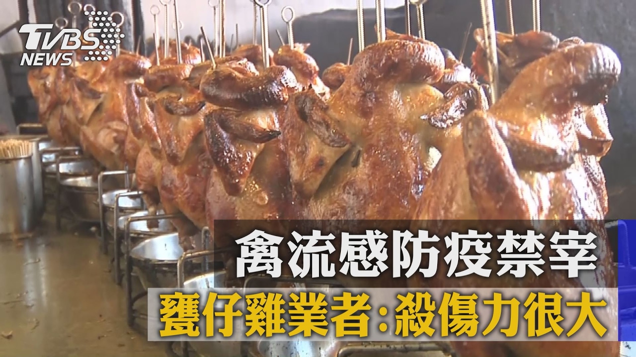 禽流感防疫禁宰　甕仔雞業者：殺傷力很大