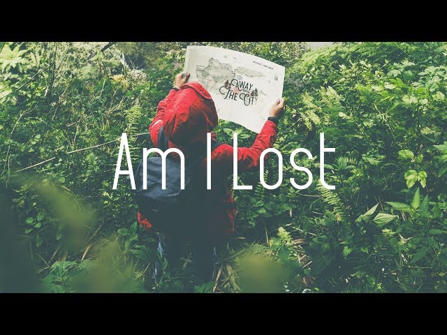 Wildvibes & Erice Feat. Fenris - Am I Lost