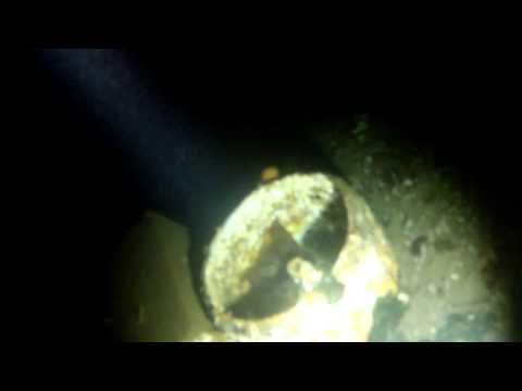 Night diving at Mike's Beach Resort. Hoodsport, WA