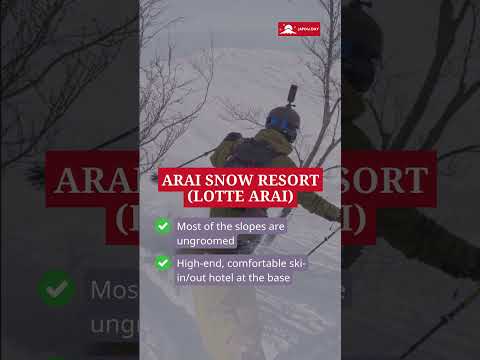 Ski Resorts in Japan with the Best Japow #5 - Arai Snow Resort (Lotte Arai)