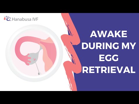 IVF Egg Retrieval Procedure | Patient is AWAKE