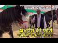 40 हॉर्स की फ़ोर्स एक ही जगह देश के टॉप ल�