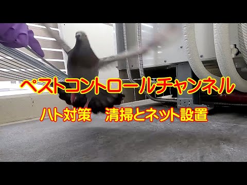 ニオールの古い鳩小屋