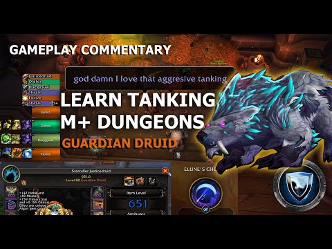 What I've learnt, first time playing BEAR TANK (Guardian Druid) | M+ Tank Guide, TWW