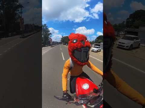 NS Palsar Riding Bunny Helmet Boy 🙋.#crazy #bunny #shortfeed #short #viral #mr #CrazyAbhishekRider