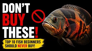 Worst Aquarium Fish for Beginners! 
