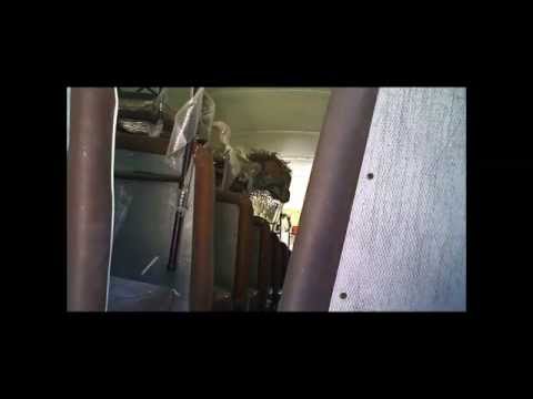 Xtreme Kombat Airsoft Team Training | Hostage Rescue 01