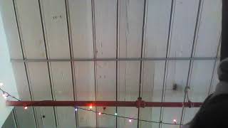 Things by Shelby Brown