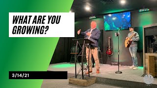 What Are You Growing?