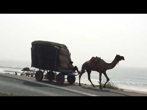 Glimpse of Madhavpur Beach!!