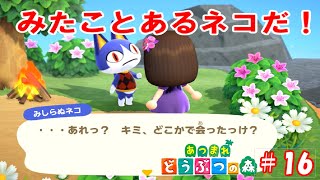 みしらぬようで見知ったネコとメーデー島ツアー！【part16】