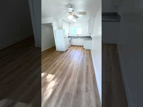 Cape Cod - Video 2 of 2